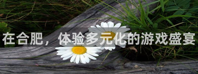 易游电竞：在合肥，体验多元化的游戏盛宴