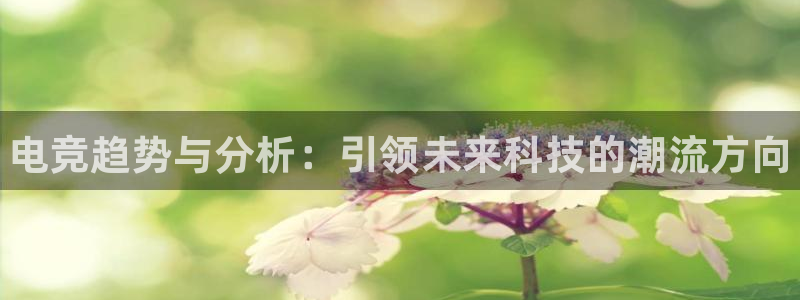 易游电竞：电竞趋势与分析：引领未来科技的潮流方向